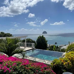 Eleven Studio Moderne Et Chic Au Diamant Martinique Le Diamant